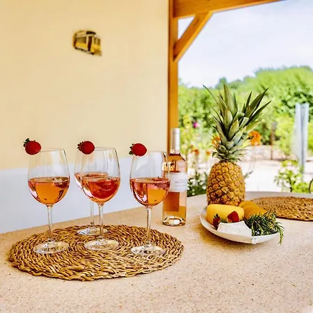 Villa Karibou With Fruit Garden And Private Pool *